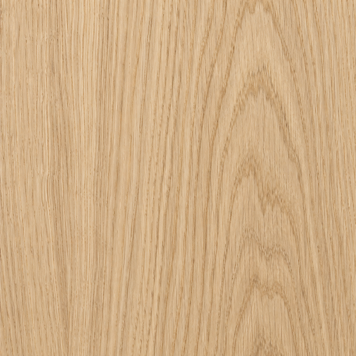 White Oak